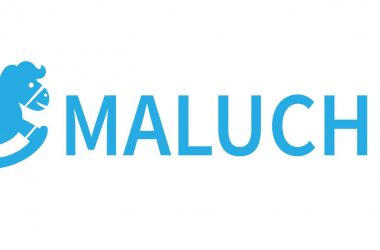 logo programu Maluch +: konik na biegunach