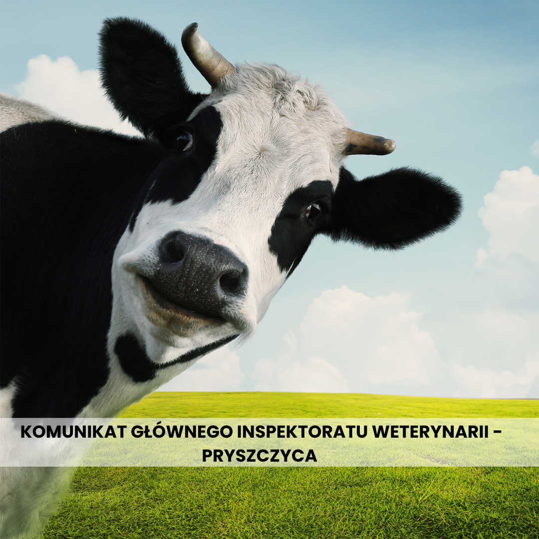 komunikat GIW - pryszczyca