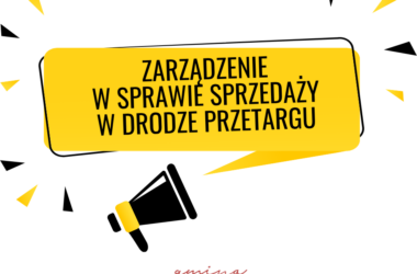 zarządzenie w sprawie sprzedaży w drodze przetargu